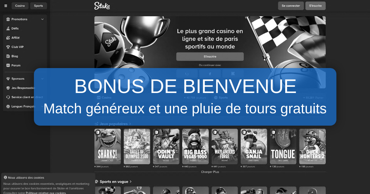 Stake Casino en ligne : paiements et accès au compte